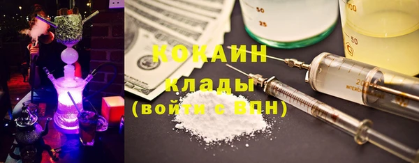 шишки Абаза