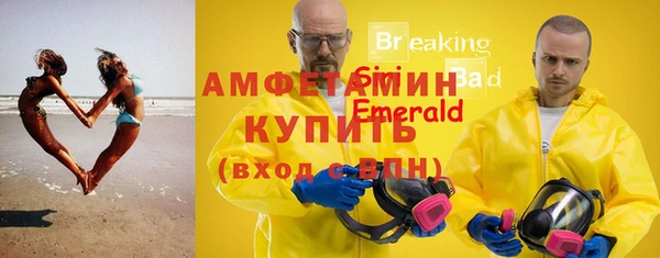 шишки Абаза