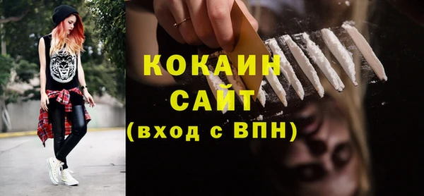 шишки Абаза