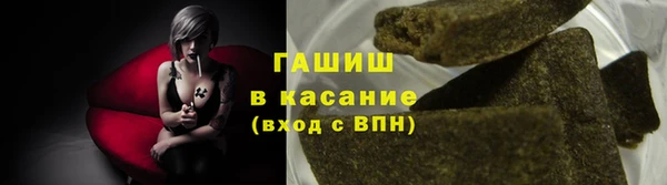 шишки Абаза