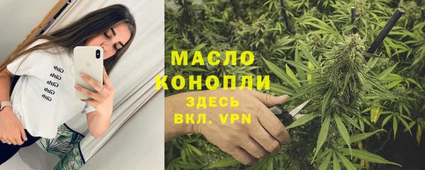 шишки Абаза