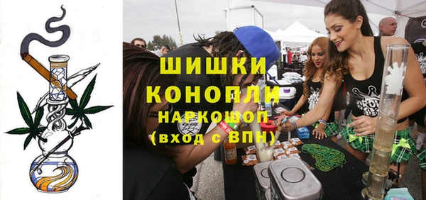 шишки Абаза