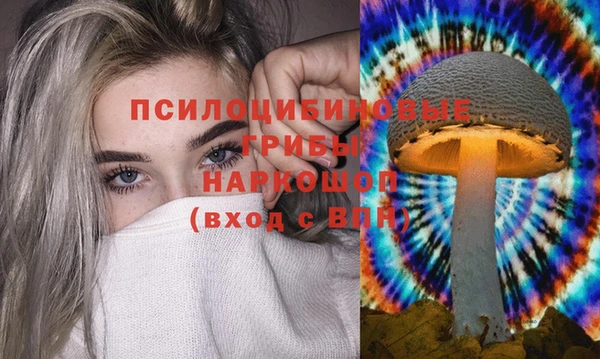 шишки Абаза