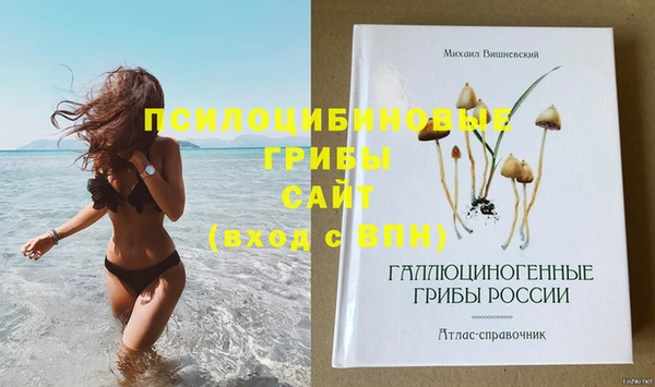 шишки Абаза