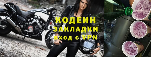 шишки Абаза
