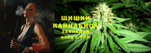 шишки Абаза