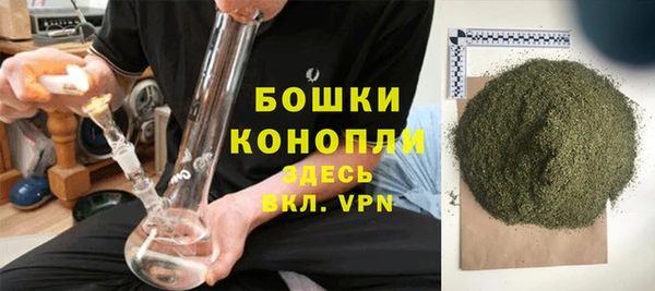шишки Абаза